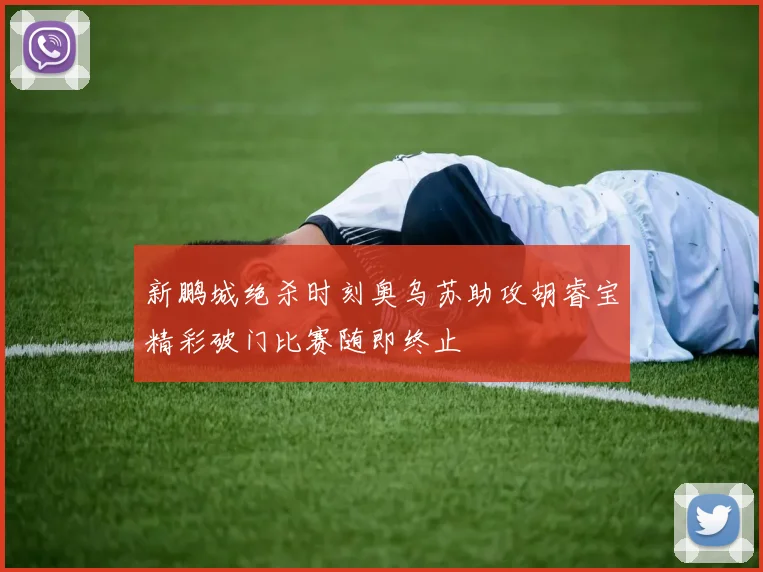 新鹏城绝杀时刻奥乌苏助攻胡睿宝精彩破门比赛随即终止
